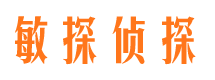 灵寿市调查公司